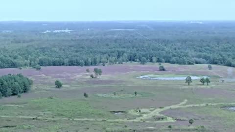 Keiler Unleashed: 560 kg of Boom Clears 160 Meters in 20 Seconds