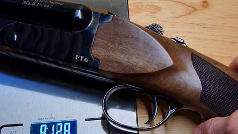 Pointer FT6 Shotgun