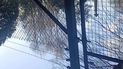 Delusional persons sharing their Delusions re a total stranger