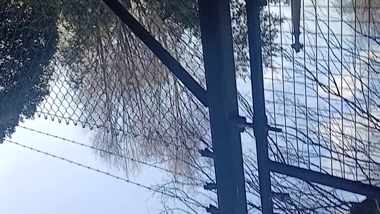 Delusional persons sharing their Delusions re a total stranger