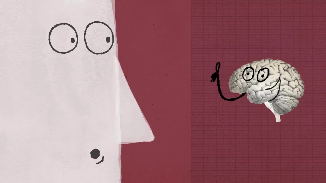 The Psychology Behind Irrational Decisions