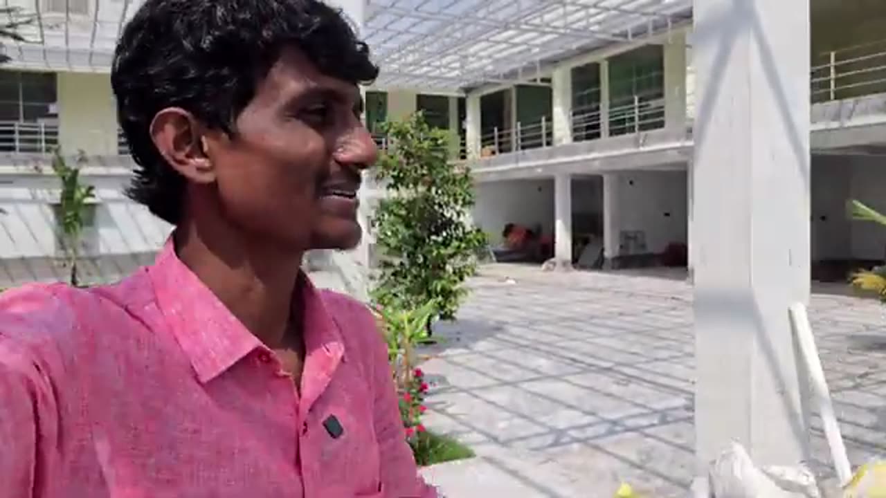 Birds 🐦 setup colour