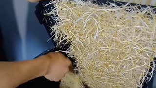 🤯🔩 The Most Satisfying Tools In Action You’ll Ever See! | FeedMyCuriosity