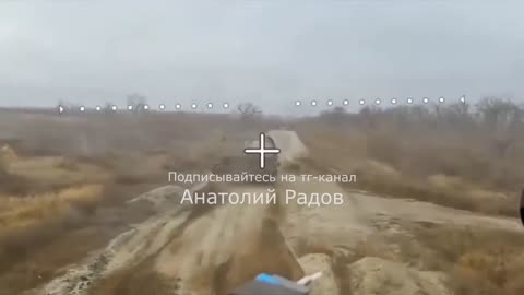 The Cows Had No Idea What Was Going On