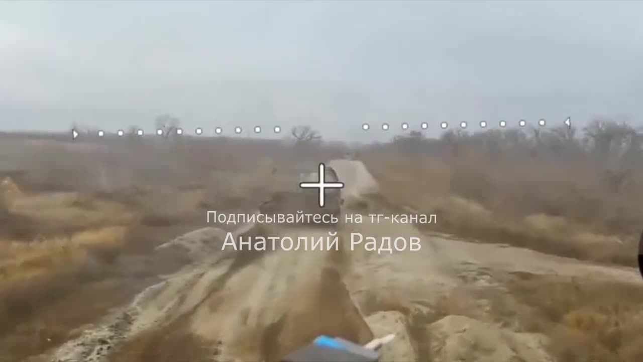 The Cows Had No Idea What Was Going On