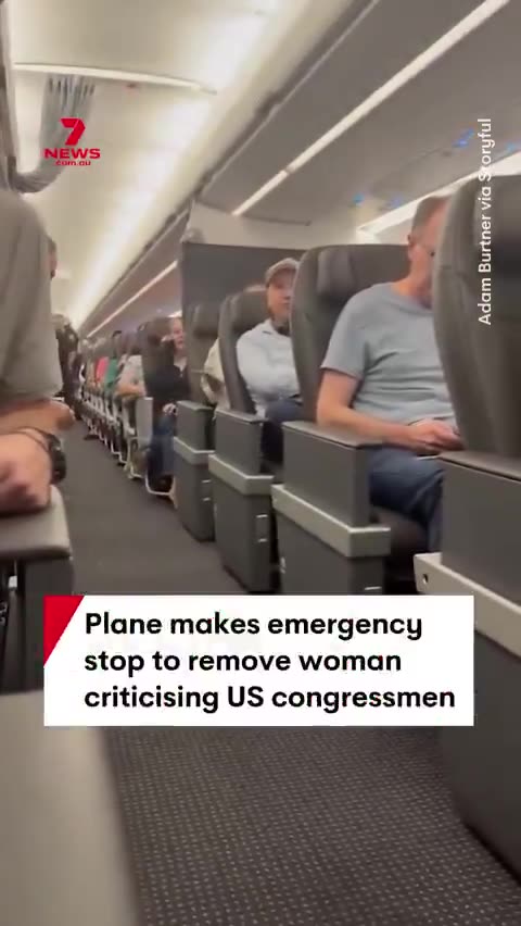 Woman causes emergency plane landing
