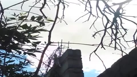 Cada día para amar más