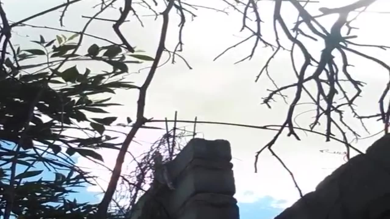 Cada día para amar más