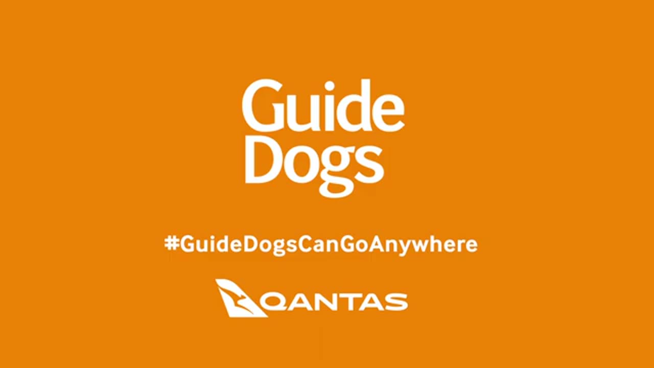 A video supporting the 2025 Access Campaign for Guide Dogs Victoria