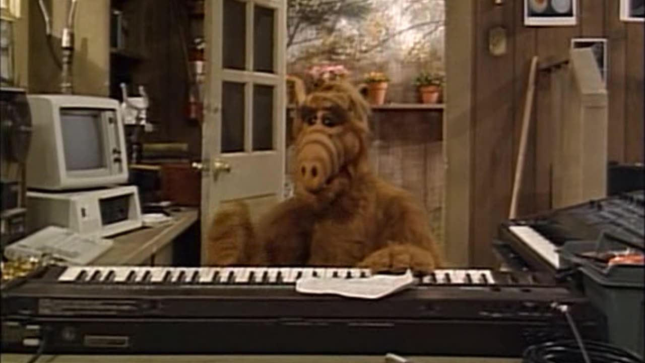 ALF ALIEN LIFE FORM