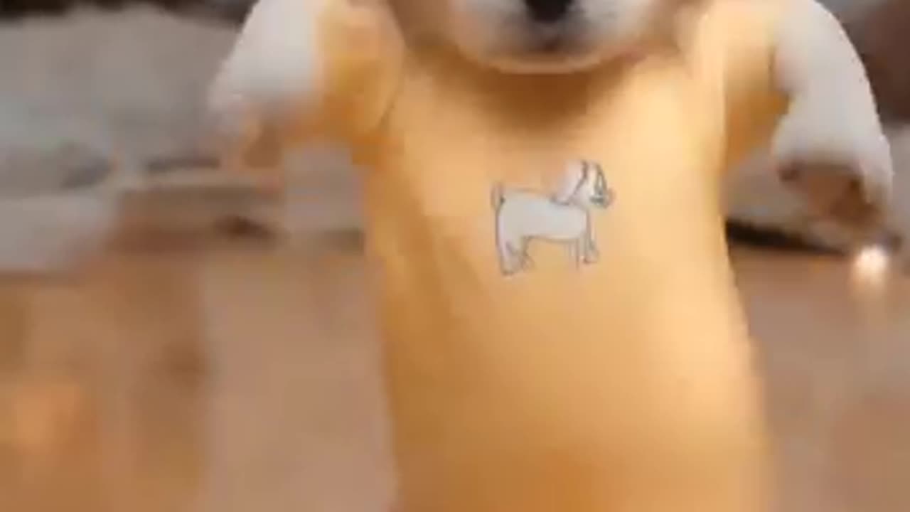 puppy dance moves