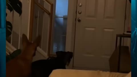 😳👀 Did You See That? Unexplained Phenomenon Caught on Camera! | TheHauntingHour