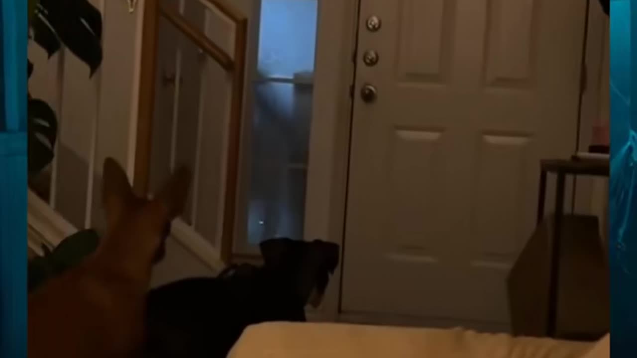 😳👀 Did You See That? Unexplained Phenomenon Caught on Camera! | TheHauntingHour