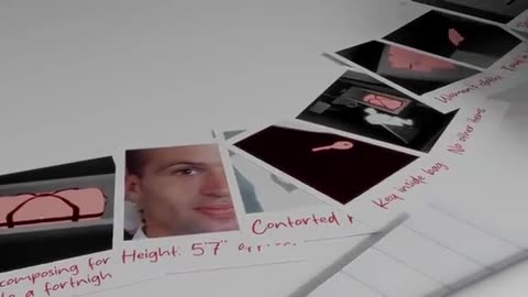 The Spy In The Bag Mystery