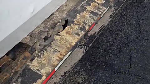 LATEST LOAD #truckesvlogs #truckdriver #truckdriver #weather #truckdriverjobs #longhaultrucker