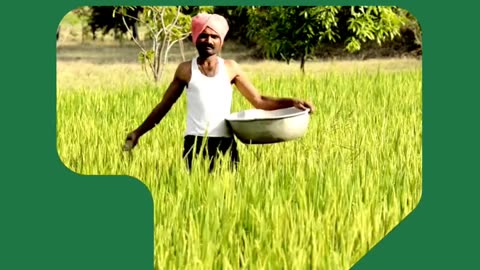 NACL – Best Insecticides for Powerful Crop Protection