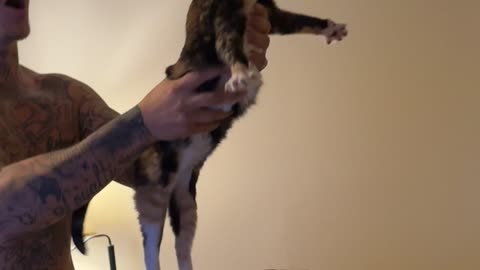 Boyfriend Attempts To Exorcise Cat's Demon