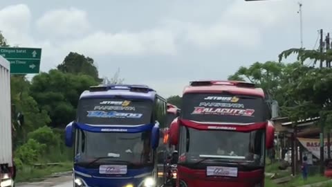 convoy of tourism buses with horns sounding along the road