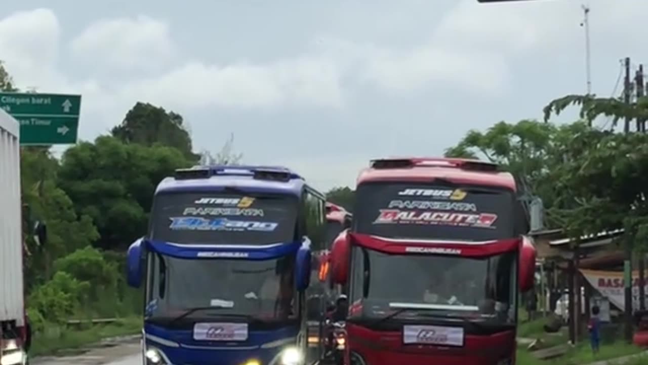 convoy of tourism buses with horns sounding along the road