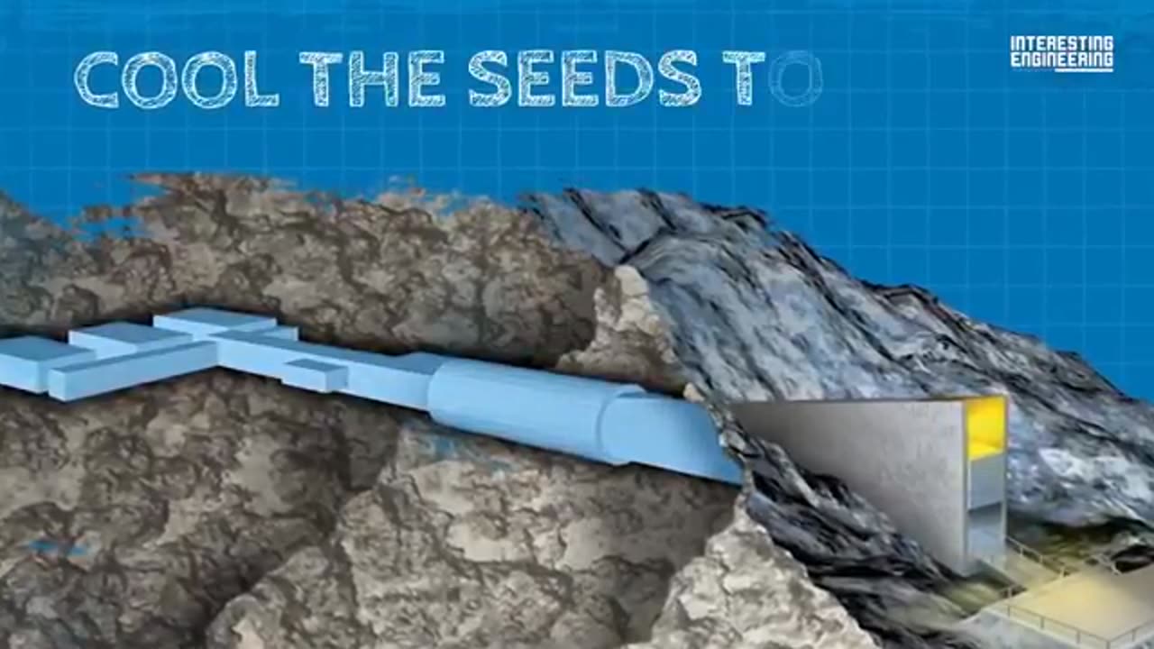The Svalbard Global Seed Vault was built inside a mountain on an Arctic island
