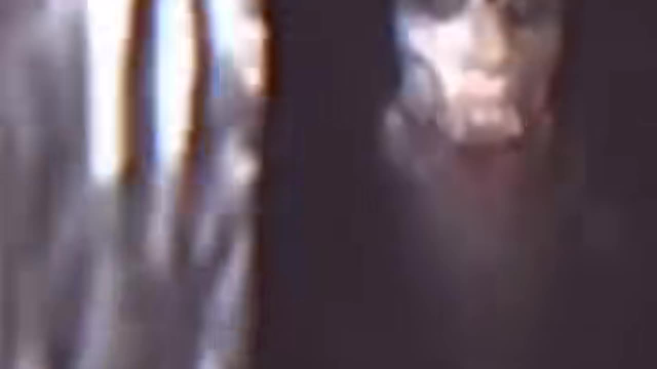 😨👻 Ghostly Encounter Caught on Camera! Unexplained Phenomenon | TheHauntingHour