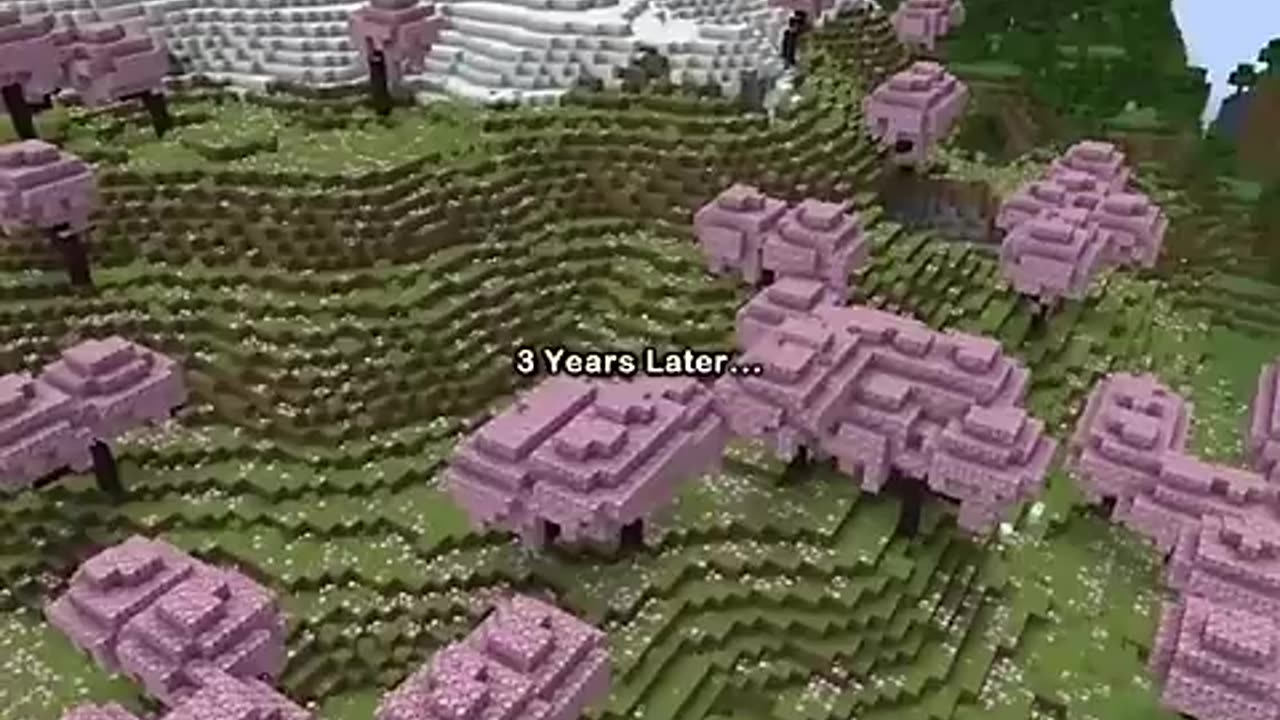 Incredible: the rarest fact in minecraft...
