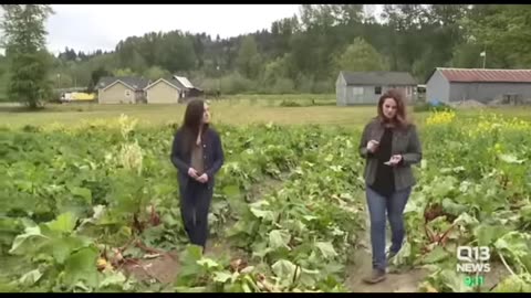 Farmers leaving america