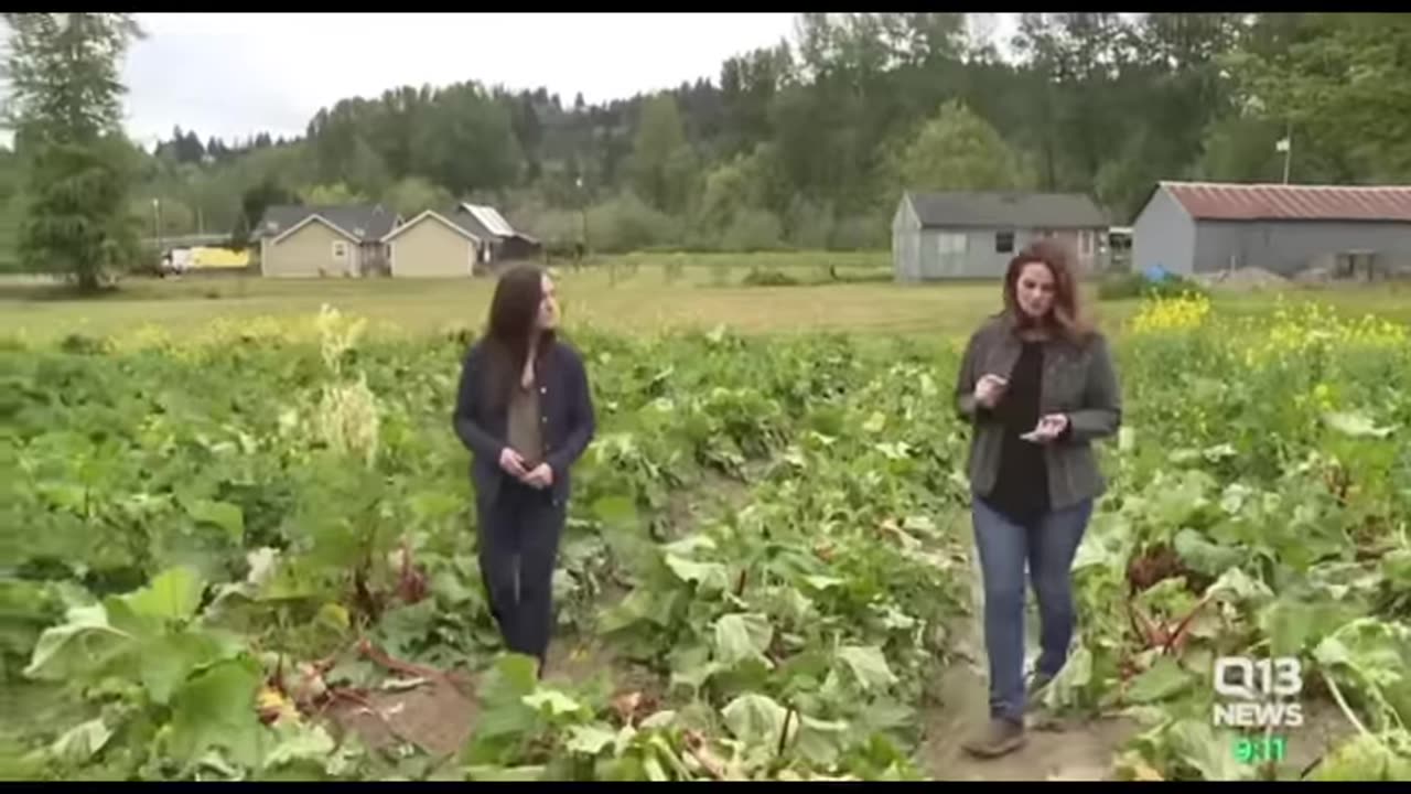 Farmers leaving america