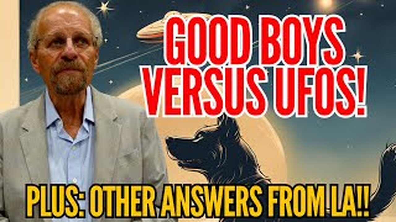 How Do Pets REACT TO UFOS?!