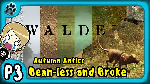 Walden P3 | Autumn Antics, Bean-less & Broke