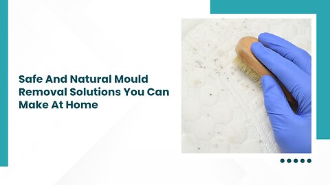 Safe And Natural Mould Removal Solutions You Can Make At Home