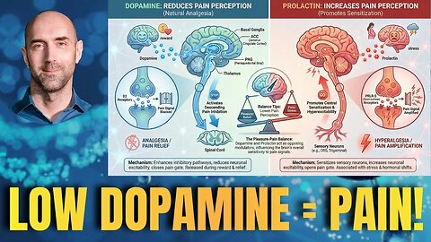High Prolactin = Mysterious Chronic Pain? | RP Ep. 147