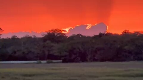 Edisto State Park