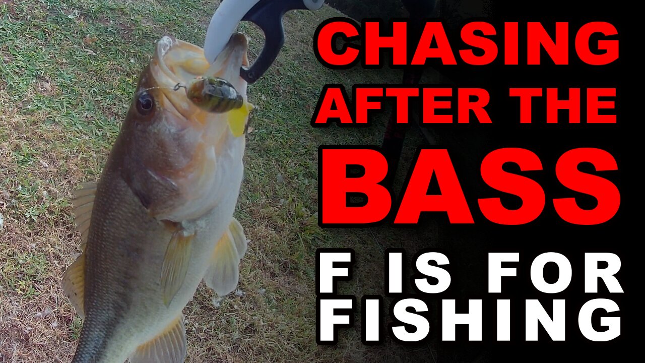 Chasing After the Bass