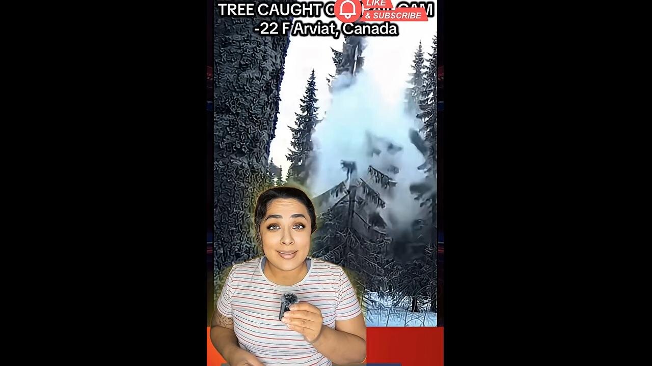 EXPLODING TREES! - Beware during sub-zero weather