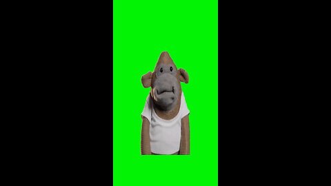 Sock Monkey Dancing | Green Screen #monkey #puppet #funny #relatable #fyp
