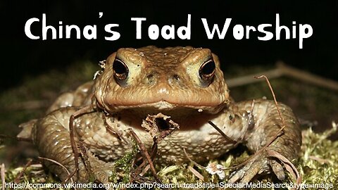 China's Toad Worship