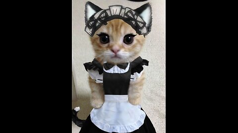 Gabby by request