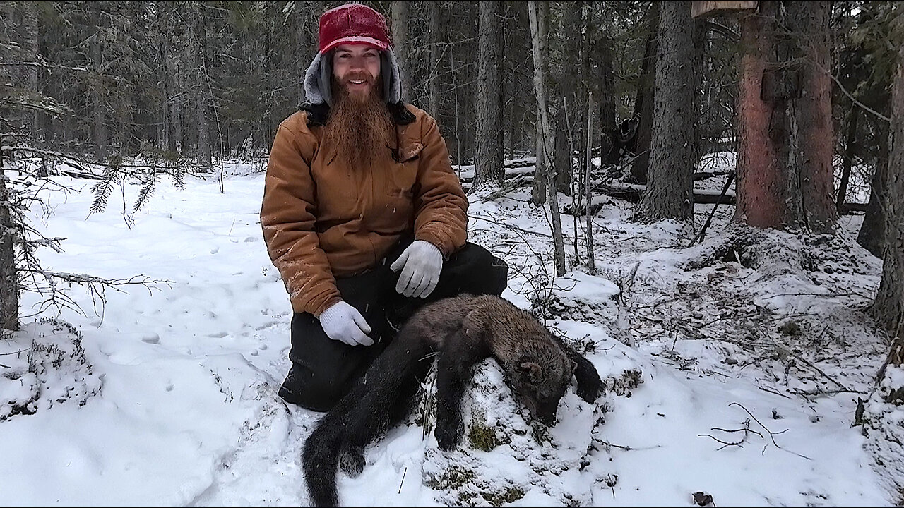 As Good As It Gets! Canadian Trapline Success!