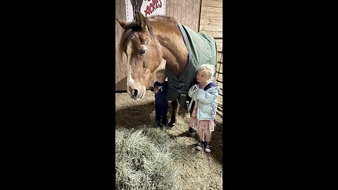 Blanketing a horse in winter is controversial