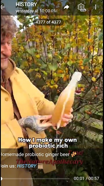 Documentary: Natural Ginger Probiotic Soda