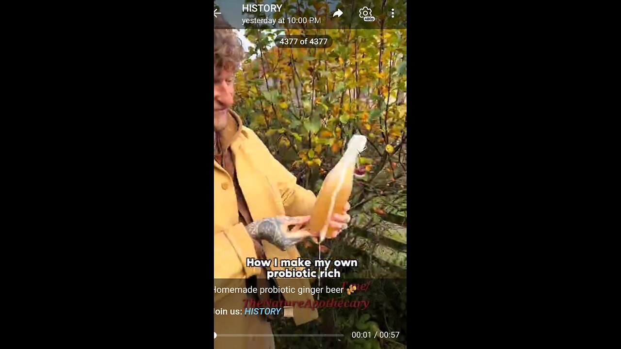 Documentary: Natural Ginger Probiotic Soda