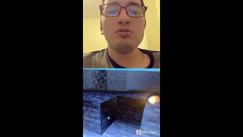 #playingminecraft