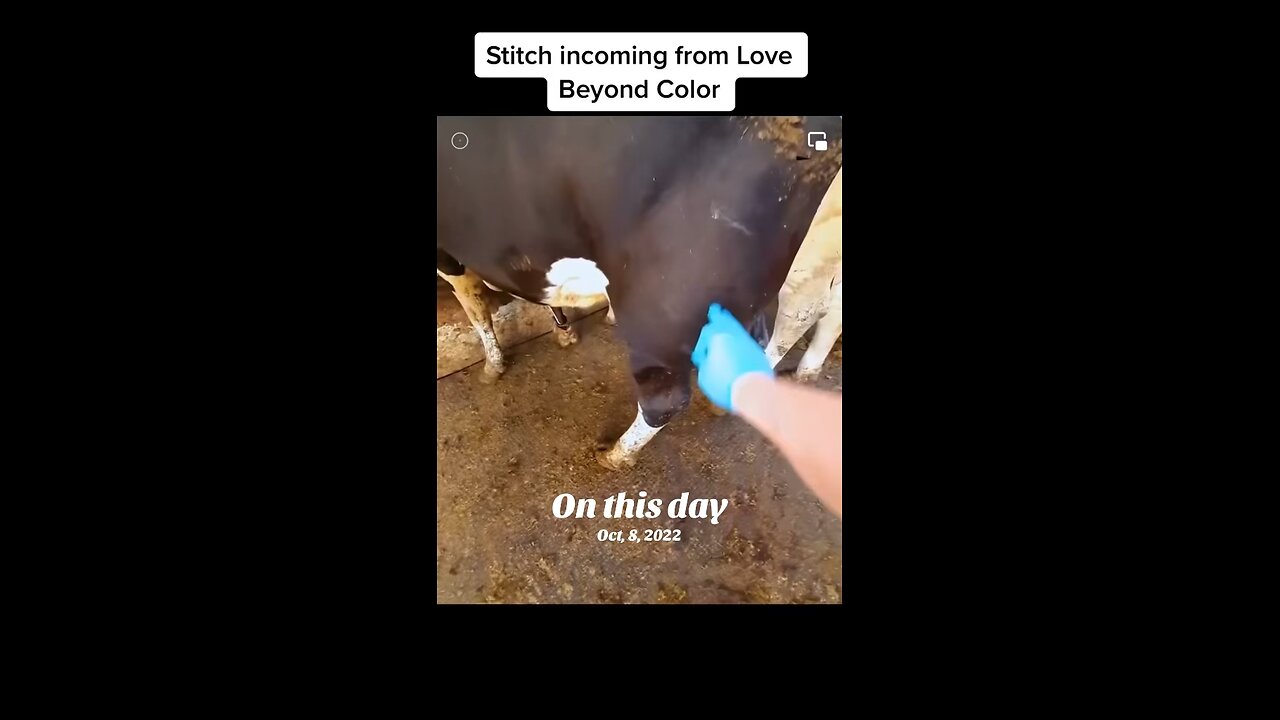 Got Milk? 🐄 🥛 Love Beyond Color