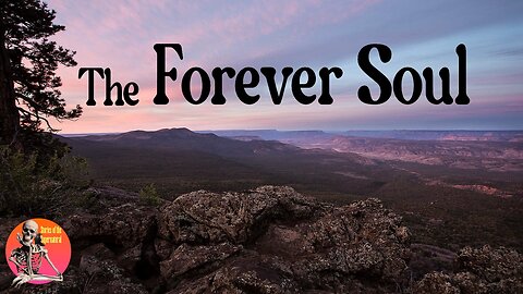 The Forever Soul | Interview with R. Craig Hogan | Stories of the Supernatural