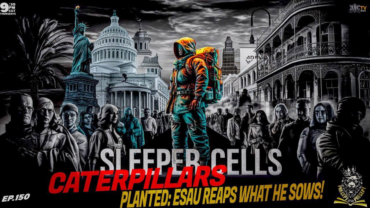 PRECEPTUPONPRECEPT: SLEEPER CELLS AND CATERPILLARS PLANTED: ESAU REAPS WHAT HE SOWS!