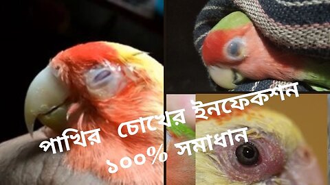 পাখির চোখের সমস্যা II চোখের ইনফেকশন চিকিৎসা