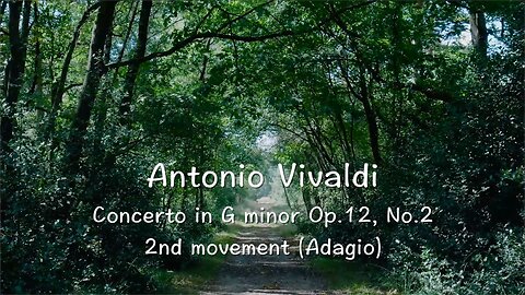 Vivaldi — Concerto in G minor (Adagio)
