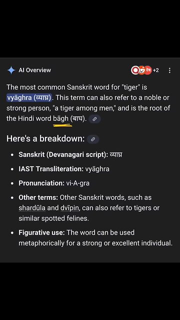 Shamans riding tigers