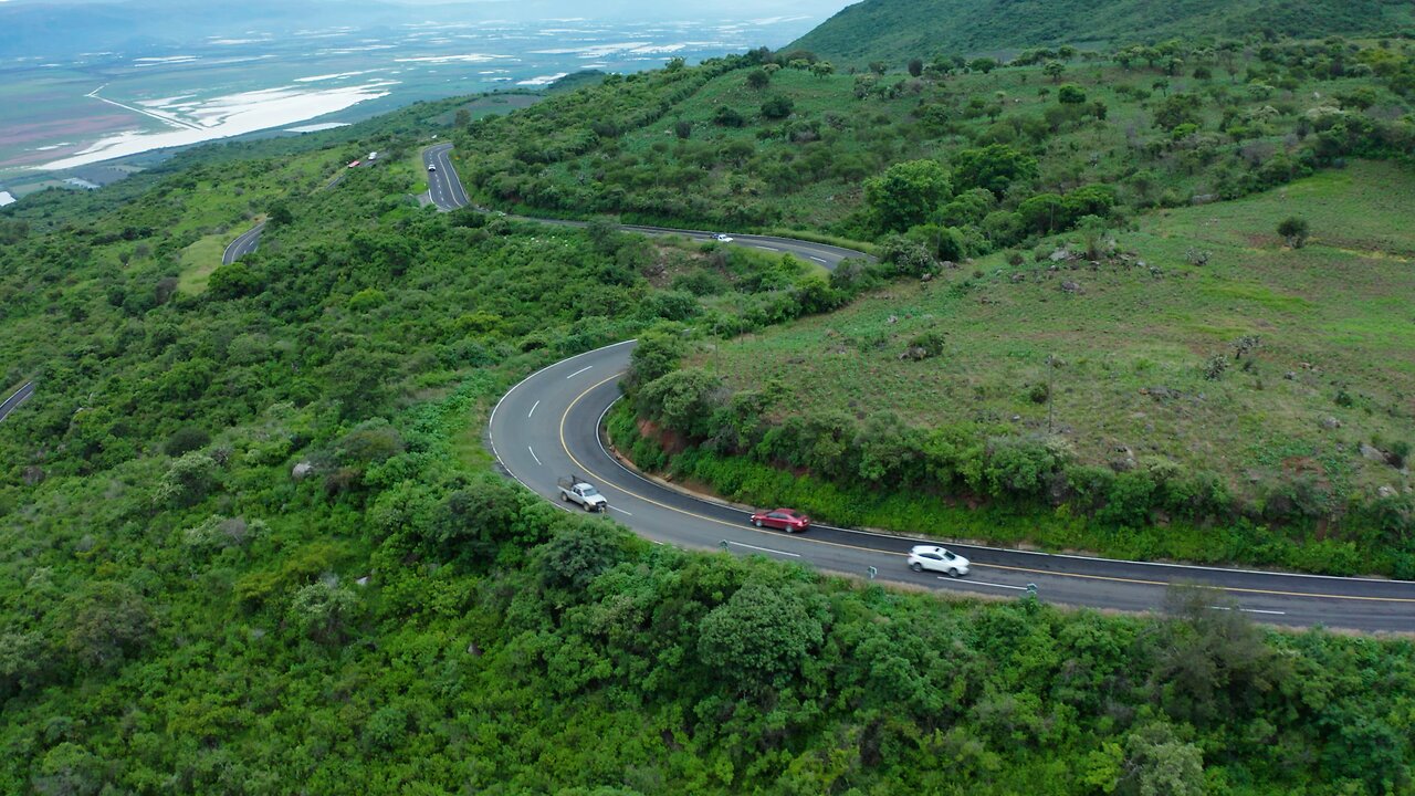 Green trees and the beauty of the stunning nature.